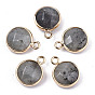 Natural Labradorite Pendants, Light Gold Tone Brass Edge, Faceted, Flat Round