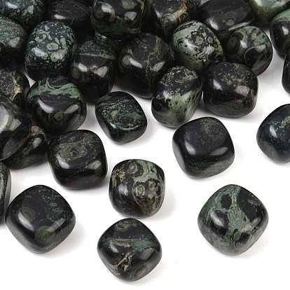 Perles de jaspe kambaba naturelles, pierre tombée, nuggets, pas de trous / non percés, gemmes de remplissage de vase