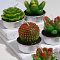 Cactus Paraffin Smokeless Candles, Artificial Succulents Decorative Candles, with Aluminium Containers, for Home Decoration