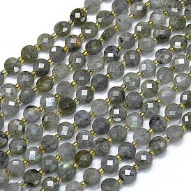 Natural Labradorite Beads Strands, with Seed Beads, Faceted, Flat Round