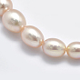 Grade AAAA Natural Cultured Freshwater PearlBeads Strands, Graduated