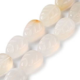 Natural White Agate Beads Strands, Leaf
