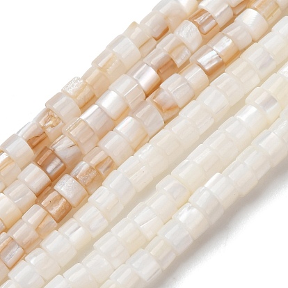 Естественных пресноводных оболочки бисер нитей, диск, Heishi бусы