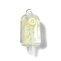 Transparent Resin Pendants, Ice Pop Charms with Fruit Polymer Clay Inside