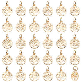 50 подвески из сплава шт., с целью перехода в кольце, плоская круглая с подвеской дерево жизни