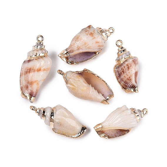 Electroplated Golden Brass Trim Natural Spiral Shell Pendants, Conch Charms