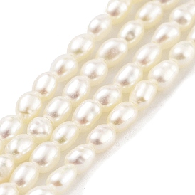 Natural Cultured Freshwater Pearl Beads Strands, Grade 7A+, Rice