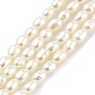 Нити из натурального культивированного пресноводного жемчуга, класс 7а+, рис
