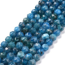 Natural Apatite Beads Strands, Star Cut Round Beads, Faceted