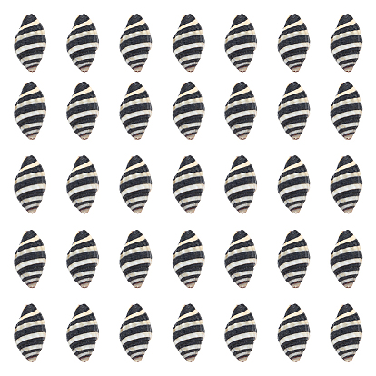 50шт. Натуральные спиральные бусины-ракушки, неочищенные / без отверстий