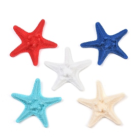 Непрозрачная смола декодирует кабошоны, морская звезда