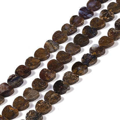 Natural Jasper Beads Strands, Heart