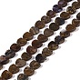Natural Jasper Beads Strands, Heart