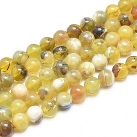Opale jaune naturel brins de perles rondes