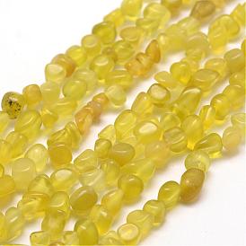 Natural Korea Olive Jade Beads Strands, Nuggets