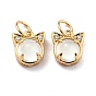 Brass Cubic Zirconia Charms, with Glitter Powder Glass & Jump Ring, Long-Lasting Plated, Lead Free & Cadmium Free, Cat