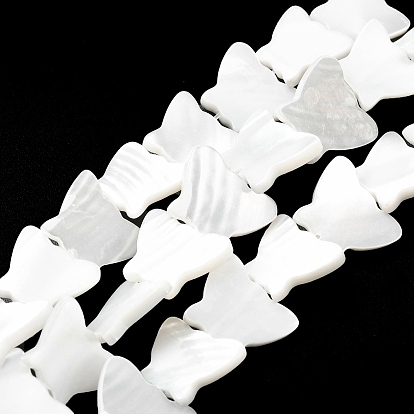Natural Trochid Shell/Trochus Shell Beads Strands, Butterfly