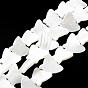 Natural Trochid Shell/Trochus Shell Beads Strands, Butterfly