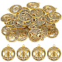 40шт. подвески из полого сплава в тибетском стиле, без свинца и без кадмия, плоский круг с богиней тройной луны, языческие украшения