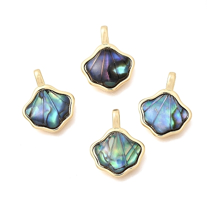 Подвески из натуральной латунной раковины морского ушка/пауа, оболочки прелести