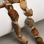 Natural Picture Jasper Beads Strands, Raw Rough, Nuggets, with Seed Beads