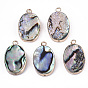 Natural Paua Shell Pendants, with Edge Brass Golden Plated and Iron Loops, Half Drilled, Oval