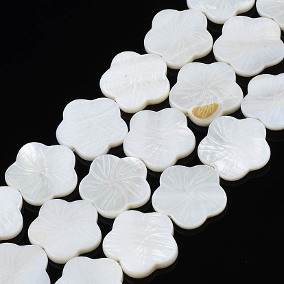 Eau douce naturelle de coquillage perles brins, fleur