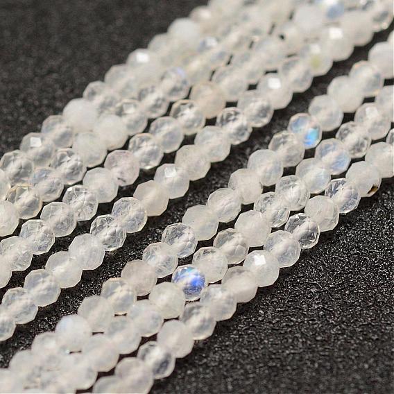 Бусины из натурального радужного лунного камня, граненые, рондель