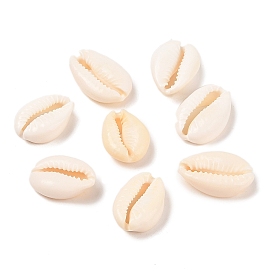 Natural Cowrie Shell Beads, Oval, No Hole/Undrilled