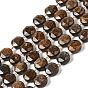 Natural Bronzite Bead Strands, Faceted, Flat Round
