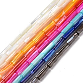 Природные trochid стеклянные бусы нити, колонка