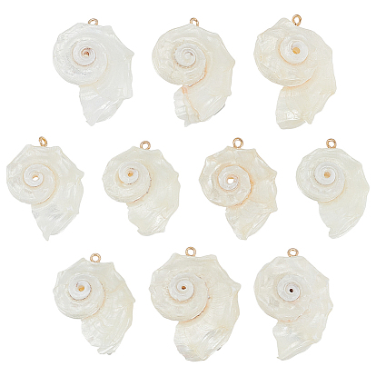 10шт. подвески из натуральной морской ракушки, подвески в форме ракушек с железными петлями светло-золотистого оттенка