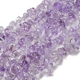 Natural Amethyst Beads Strands, Chip