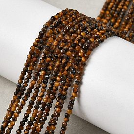 Природных тигровый глаз бисер нитей, граненые, круглые