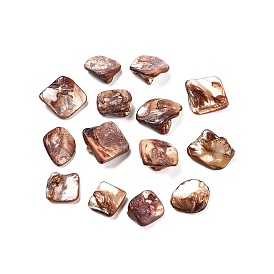Perles de coquillages naturels d'eau douce, mixte, 10~20x12~18x5~9mm, Trou: 1mm