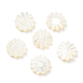Coquille de trochide naturelle / perles de coquille de troque, fleur