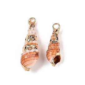 Natural Sea Shell Pendants, Shell Shaped Charms with Golden Tone Iron Loops