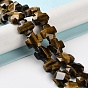 Natural Tiger Eye Beads Strands, Faceted, Cross