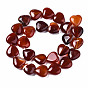 Natural Red Agate Beads Strands, Heart