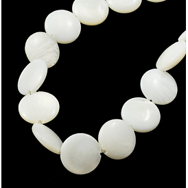Natural Shell Beads Strands, Flat Round