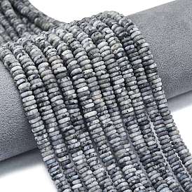 Нити бусин из натурального матового ларвикита, рондель