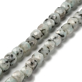 Природных кунжута яшмы бисер нитей, граненые, кубические