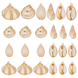 24шт. 6 стили гальванизированные натуральные смешанные подвески из ракушек, подвески в форме ракушек, золотые