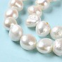 Natural Cultured Freshwater Pearl Beads Strands, Two Sides Polished, Grade 2A