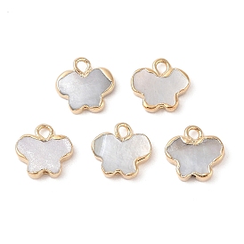 Natural Black Lip Shell Butterfly Charms, with Brass Edge