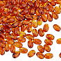 200Pcs Transparent Acrylic Beads, Imitate Amber Beads