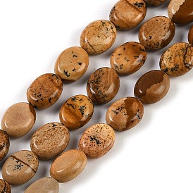 Natural Picture Jasper Beads Strands, Oval