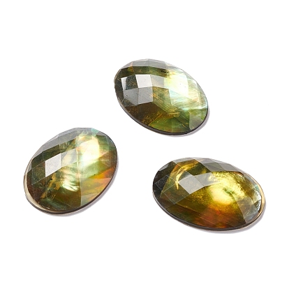 Paua cabochons, ovale