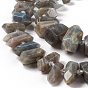 Natural Labradorite Beads Strands, Faceted, Double Terminated Pointed/Bullet