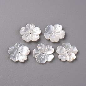 Perlas de concha de nácar blanco natural, tallado, sakura